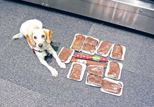 去美国哪些药不能带？